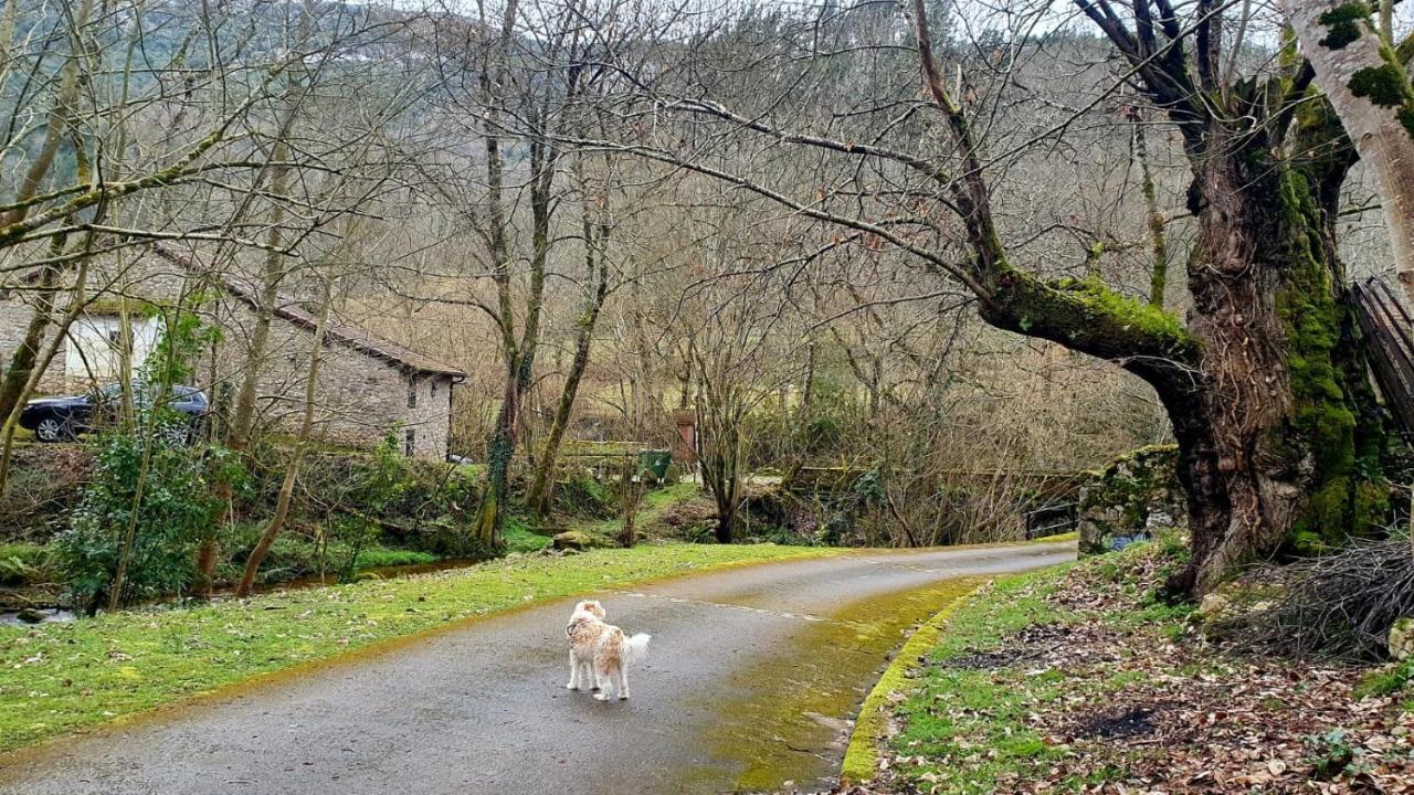 Hotel Rural La Tahona De Besnes Arenas De Cabrales Eksteriør bilde