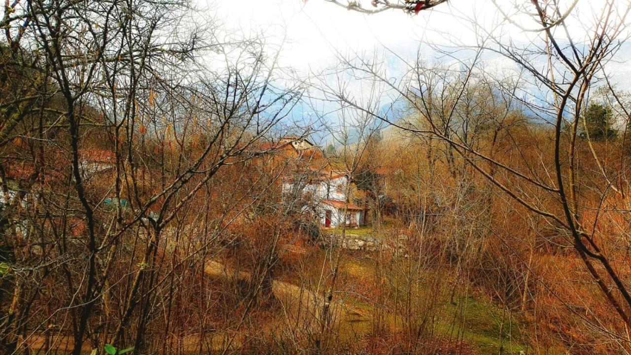 Hotel Rural La Tahona De Besnes Arenas De Cabrales Eksteriør bilde